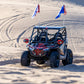 Polaris RZR 200 Standard Radius Cage