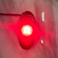 Lucky Whips Dome Lights