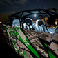 Lucky Whips Dome Lights